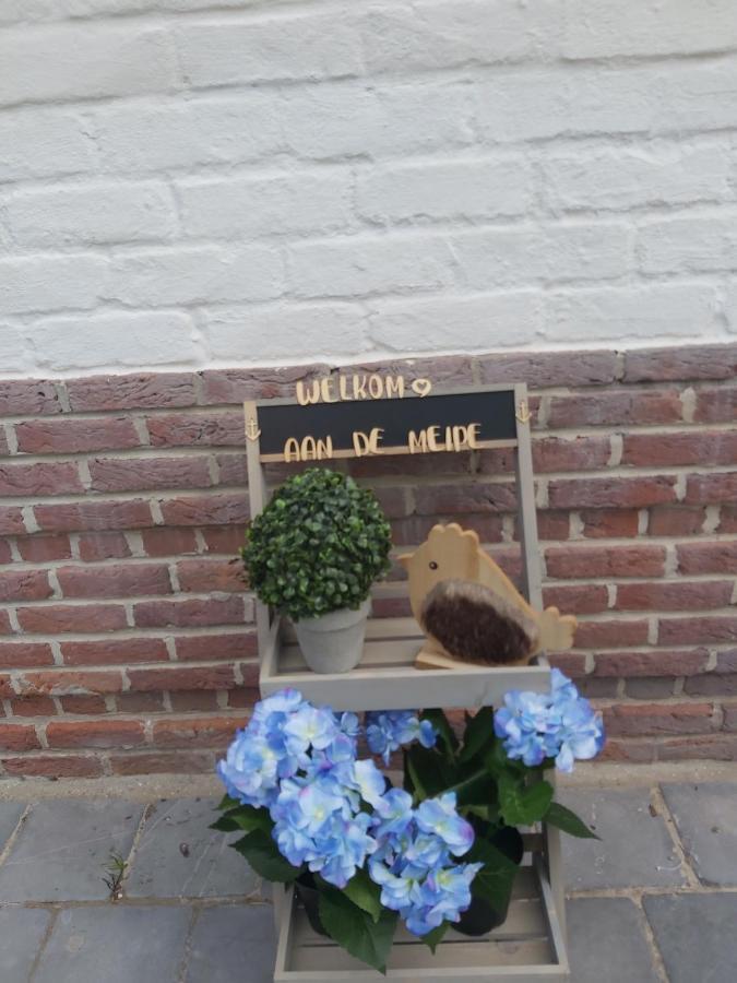 Aan De Meipe Lägenhet De Panne Exteriör bild